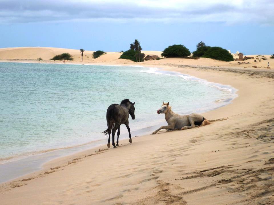 Vilas Sol&Mar, Praia Chaves Rabil Exterior foto